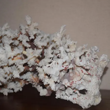 Saint Julians Seafront 200m2 Beautiful Apartment Saint Julian's