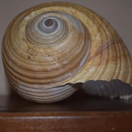 Apartment Saint Julians Seafront 200m2 Beautiful *