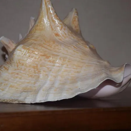 Saint Julians Seafront 200m2 Beautiful Apartment Saint Julian's