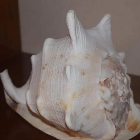 Saint Julians Seafront 200m2 Beautiful 아파트 *