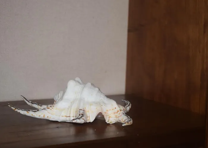 아파트 Saint Julians Seafront 200m2 Beautiful Saint Julian's