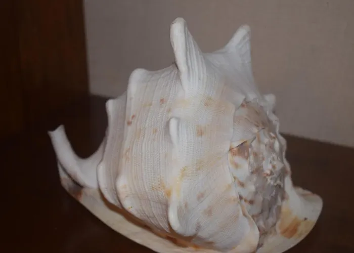 Saint Julians Seafront 200m2 Beautiful 아파트 *