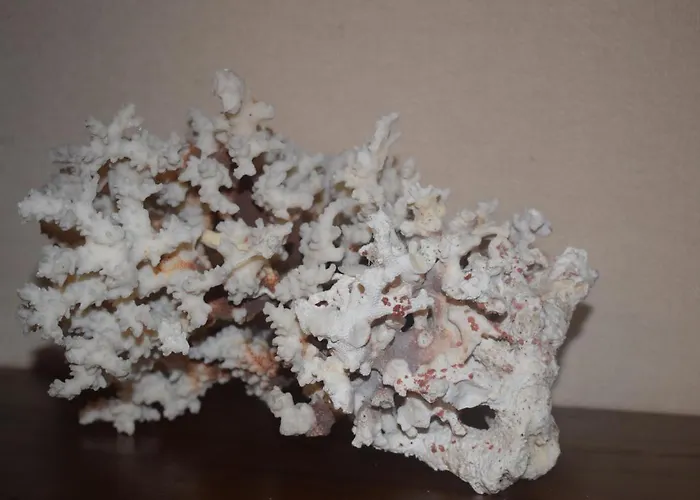 Saint Julians Seafront 200m2 Beautiful 아파트 Saint Julian's