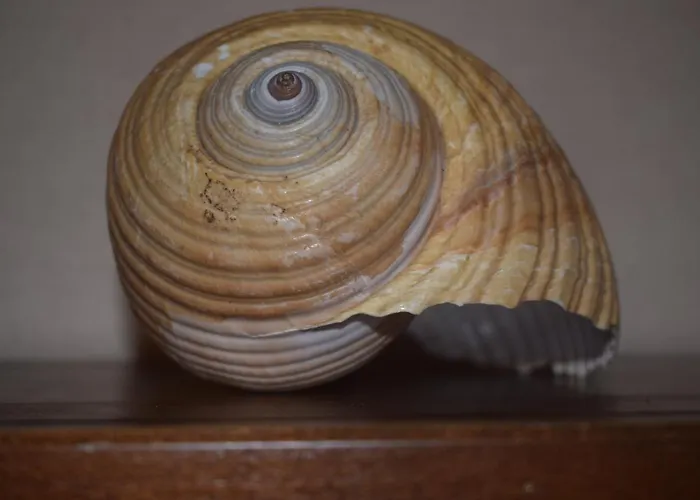 아파트 Saint Julians Seafront 200m2 Beautiful *