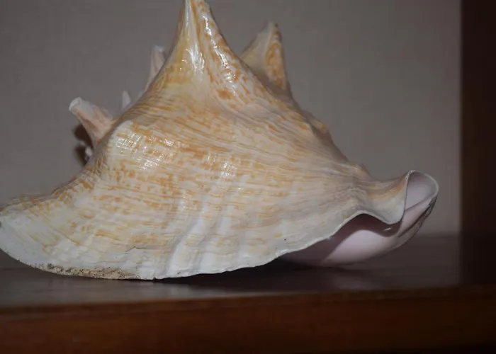 Saint Julians Seafront 200m2 Beautiful 아파트 Saint Julian's